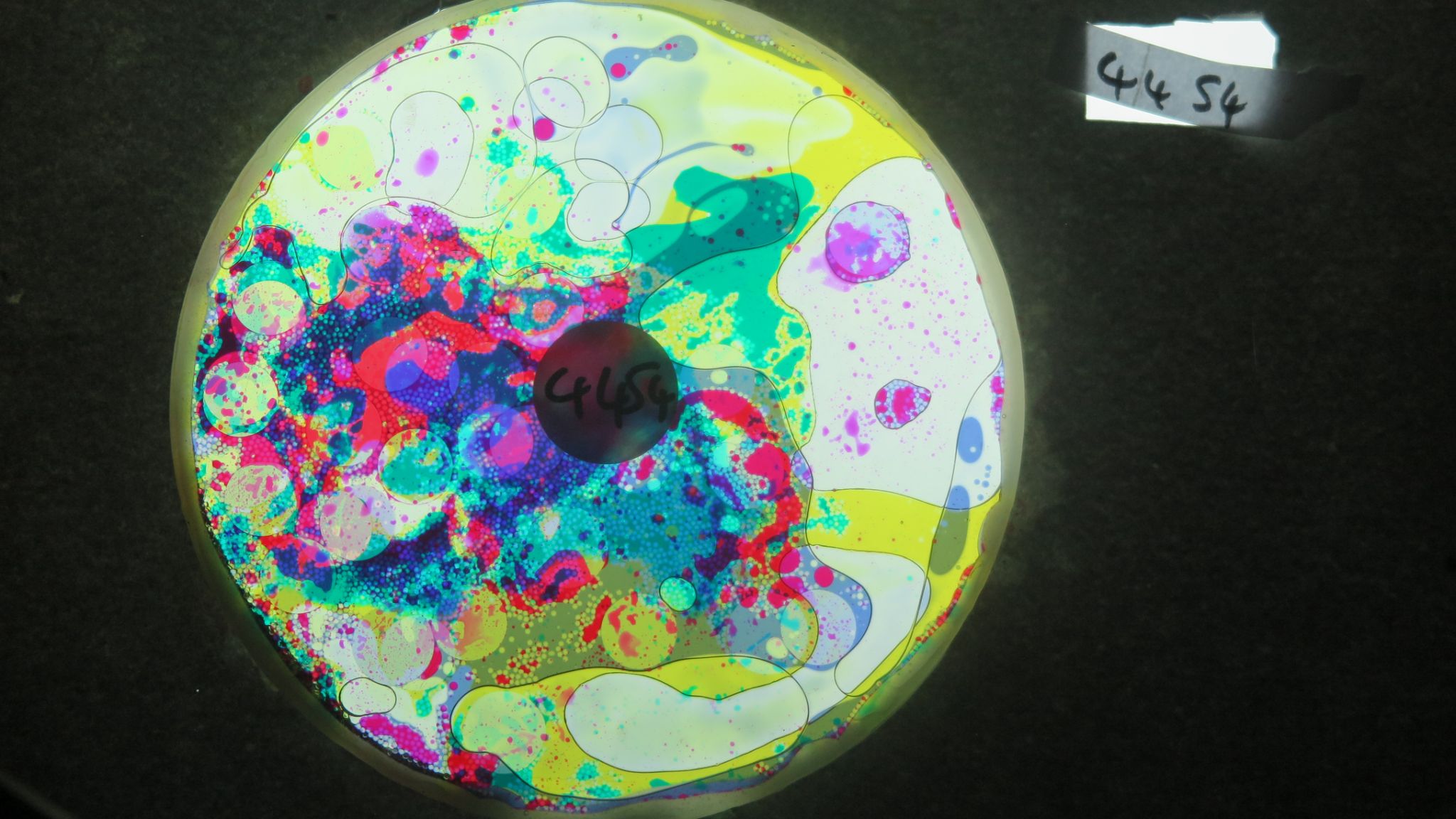 BV4454 bubble vision oil wheel